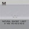 1.00CT D VS2 VG VG G VG G Stunning 1 Carat Natural Diamonds Unveil Luxury S547837 丨Messigems