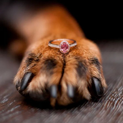 Pet ashes diamonds are becoming popular