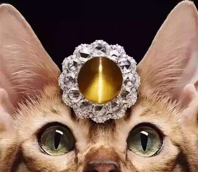 cat eye Asterism