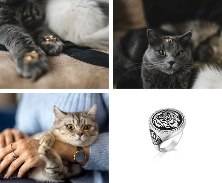 pet and jewelry