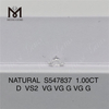 1.00CT D VS2 VG VG G VG G INMINUENTO 1 CARATO Diamantes naturales Investigue el lujo S547837 丨 Messigems