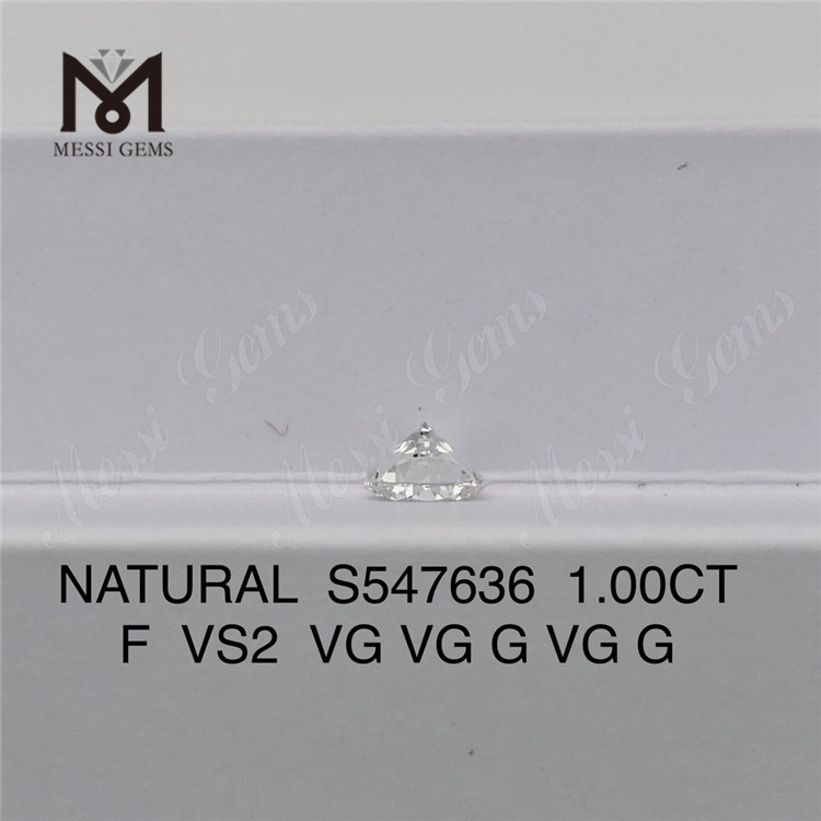 1.00CT F VS2 Authentic Natural Diamonds Elegance at Its Best S547636丨Messigems