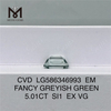 5ct Emerald Cut Lab Diamonds Green SI1 EX VG EM FANCY GREYISH GREEN MAN MADE CVD LG586346993 